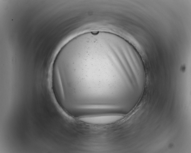 X0000102481528200808221654