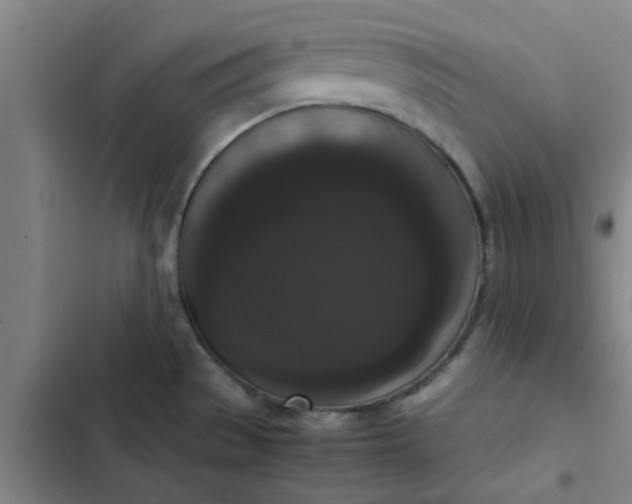 X0000102481529200808221654