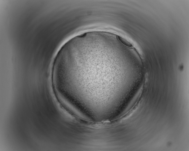 X0000102481530200808221654