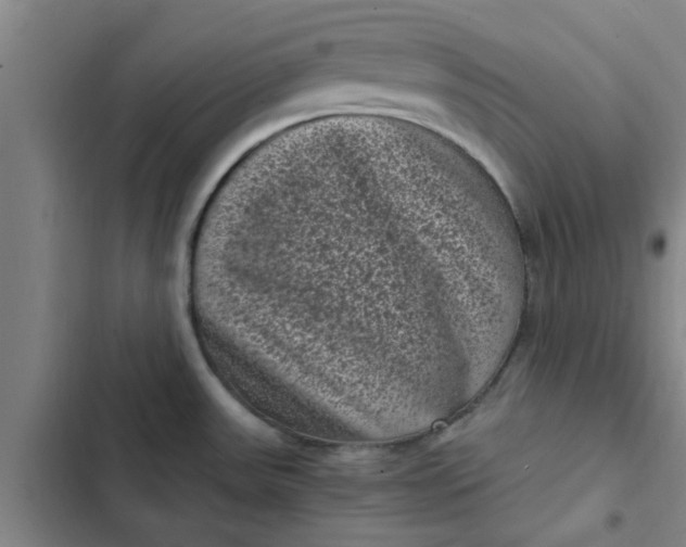 X0000102481531200808221654