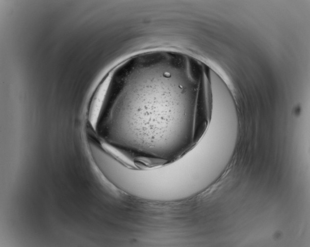 X0000102481532200808221654