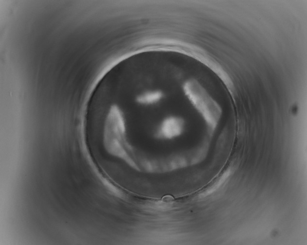 X0000102481533200808221654