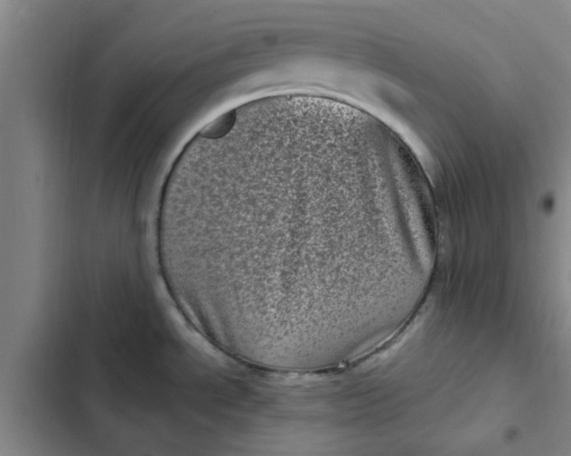 X0000102481534200808221654