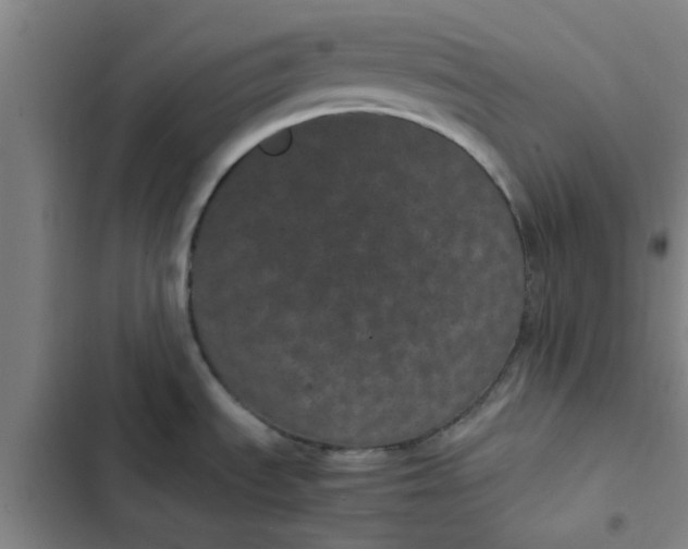 X0000102481535200808221654