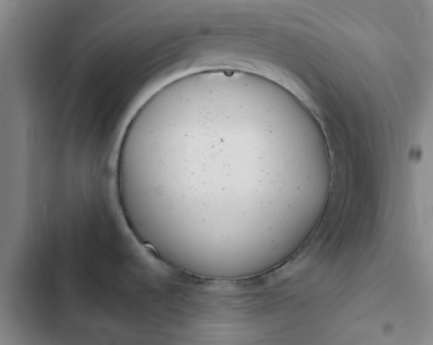 X0000102481536200808221655