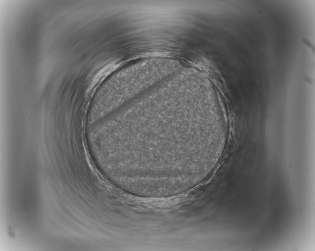 X0000102480001200808291637