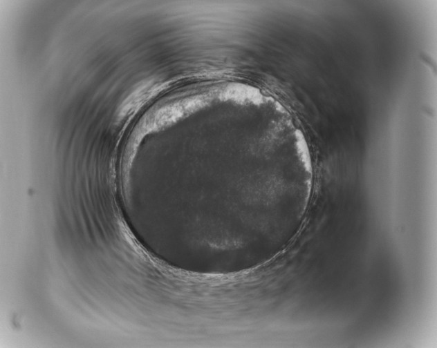 X0000102480002200808291637