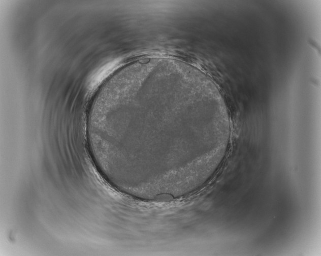 X0000102480005200808291637