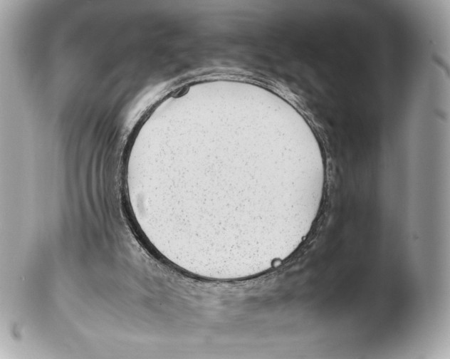 X0000102480007200808291637