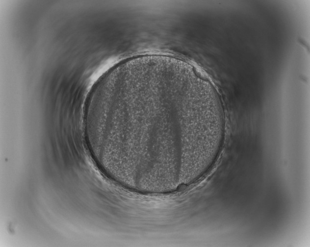 X0000102480008200808291637