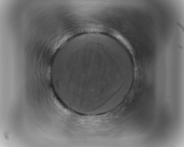 X0000102480009200808291637