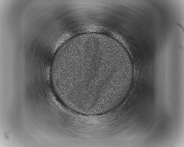 X0000102480010200808291637