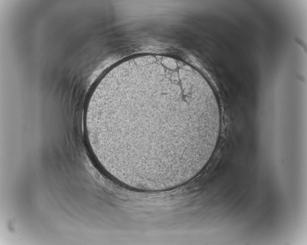 X0000102480011200808291637