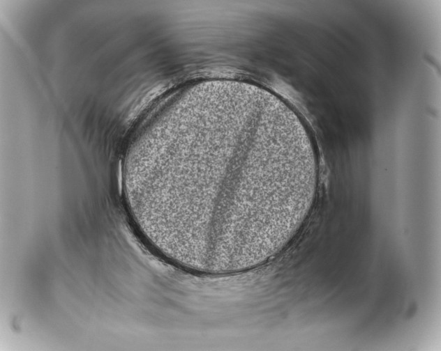 X0000102480013200808291637