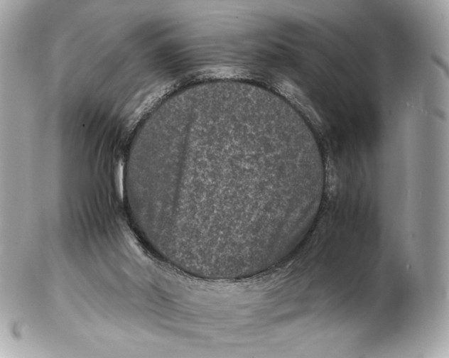 X0000102480014200808291637