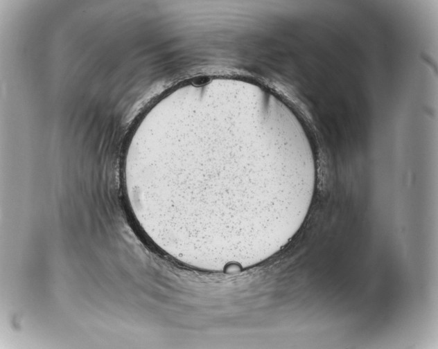 X0000102480015200808291637