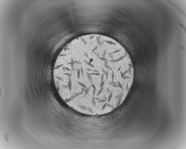 X0000102480016200808291637