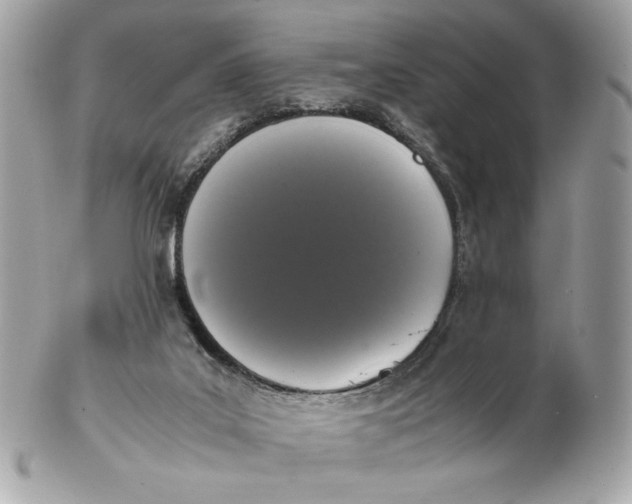 X0000102480019200808291637