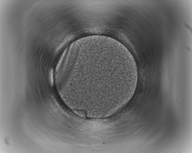 X0000102480020200808291637