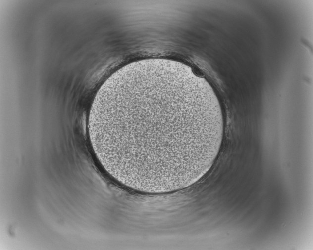 X0000102480021200808291637