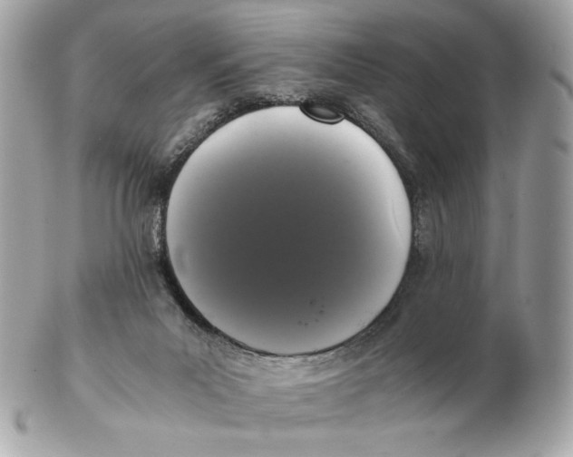 X0000102480023200808291637