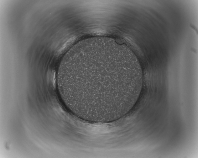 X0000102480024200808291637