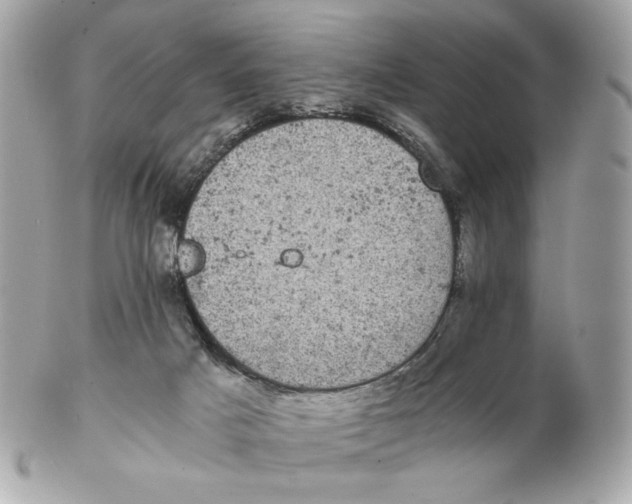 X0000102480025200808291637