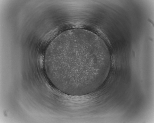 X0000102480026200808291637