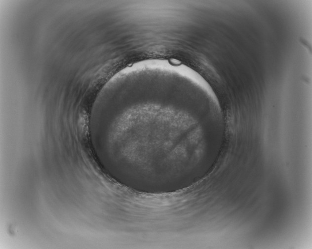 X0000102480029200808291637