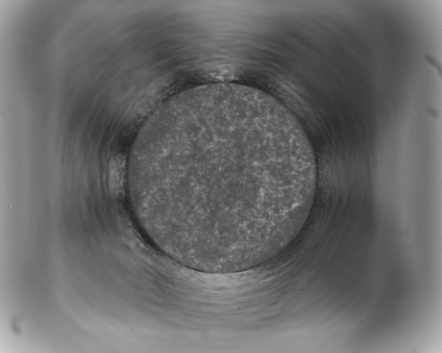 X0000102480030200808291637