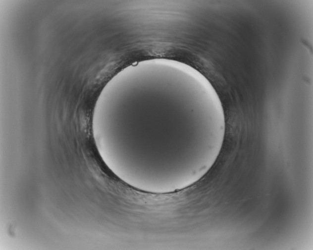 X0000102480031200808291637