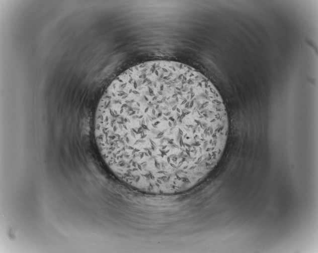 X0000102480032200808291637