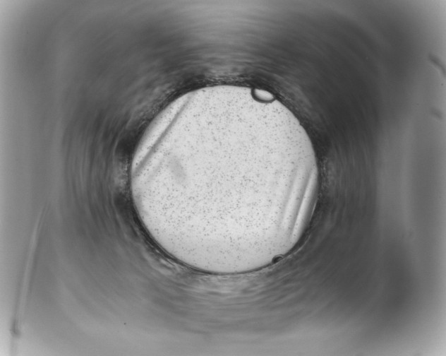 X0000102480033200808291637