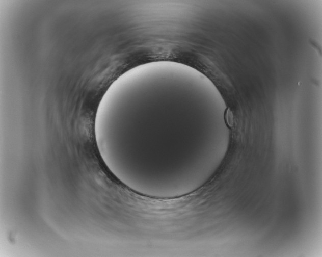 X0000102480035200808291637