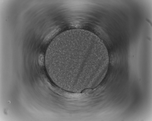 X0000102480036200808291637