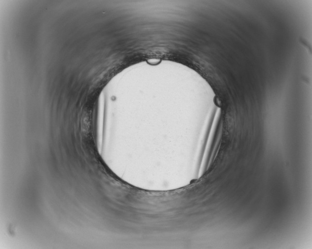 X0000102480037200808291637