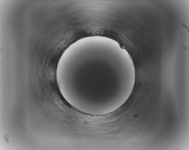 X0000102480039200808291637