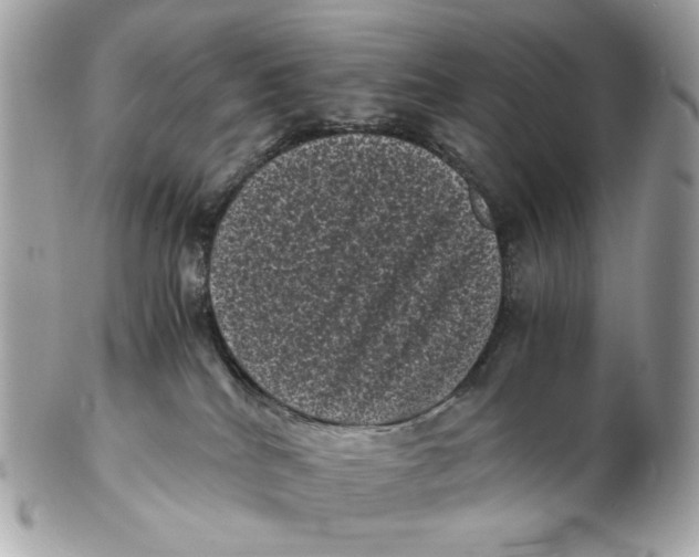 X0000102480040200808291637