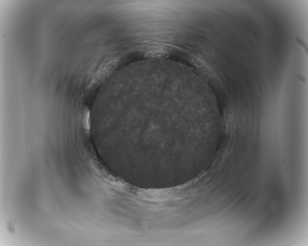 X0000102480041200808291637