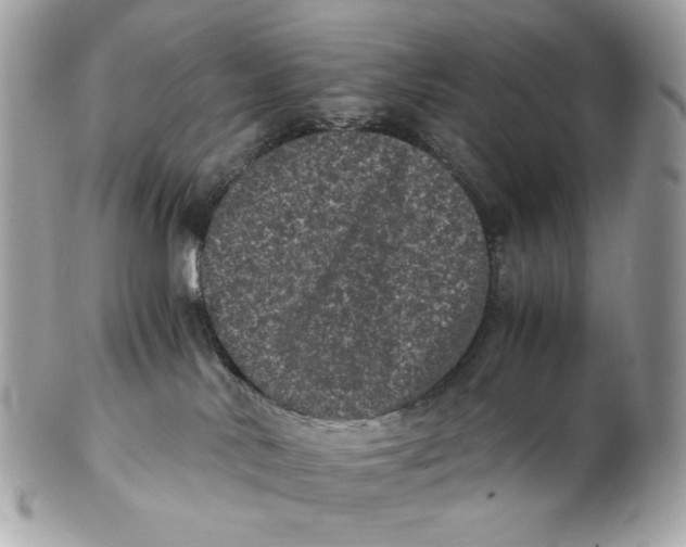 X0000102480042200808291637