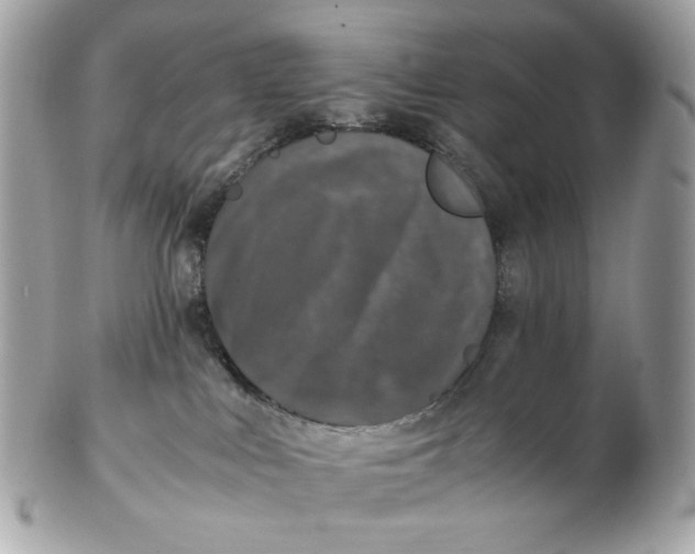 X0000102480043200808291637