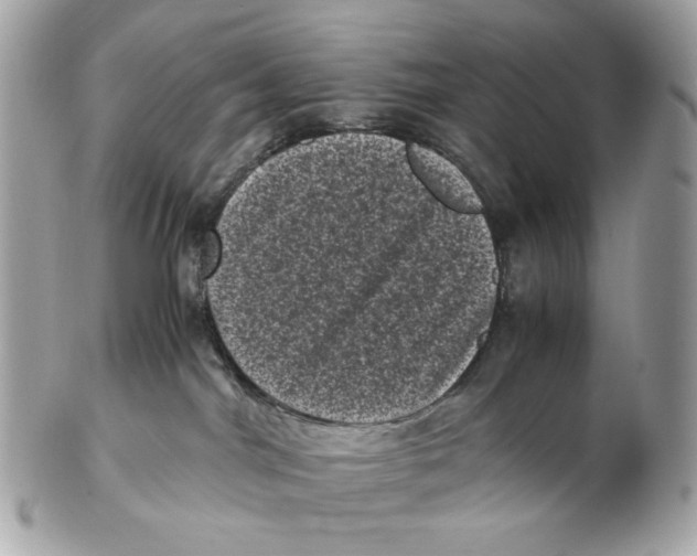 X0000102480044200808291637