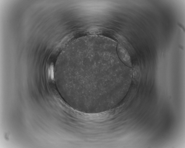 X0000102480046200808291637