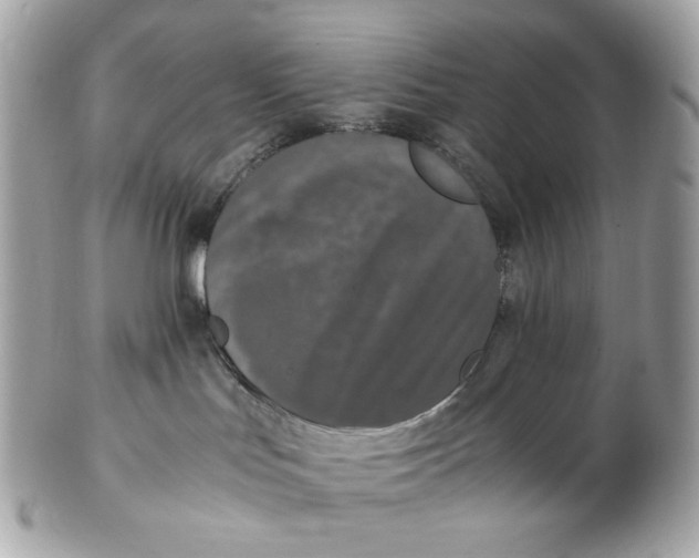 X0000102480047200808291637