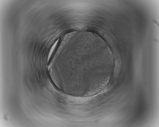 X0000102480048200808291637