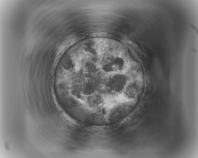 X0000102480049200808291636