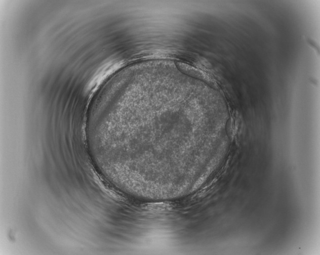 X0000102480050200808291636