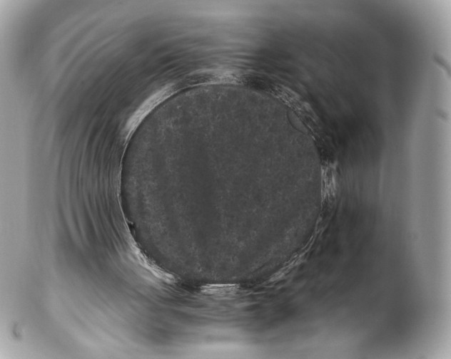 X0000102480051200808291636