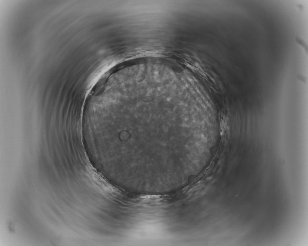 X0000102480052200808291636