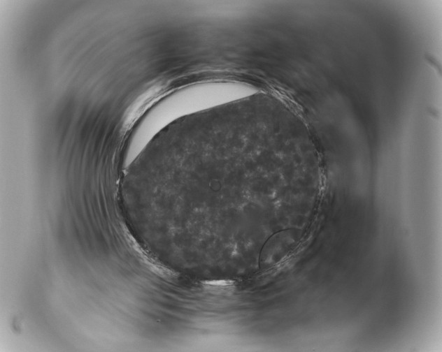 X0000102480053200808291636